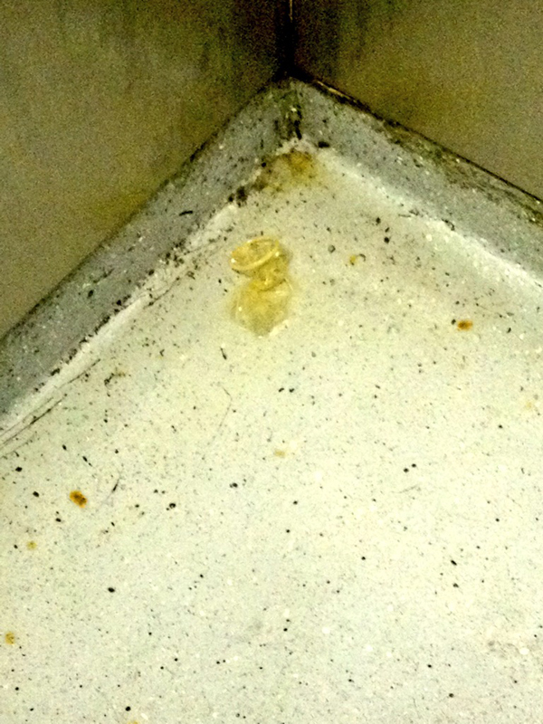 A pissed soaked, used condom on the Bart elevator on my ride to work.